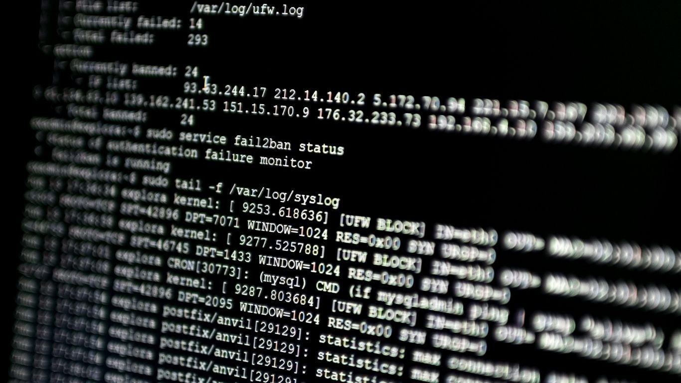 Premium Indian web hosting for beginners